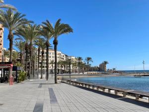 a street with palm trees next to a body of water at Apartament La Mata in Torrevieja