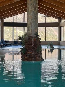 ein Baum mitten im Swimmingpool in der Unterkunft hostal el glaciar in Refugio Lo Valdés