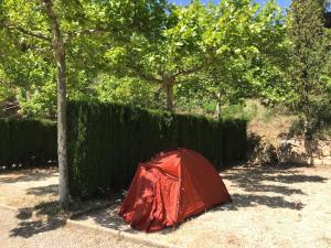 Gallery image of Camping Castellote in Castellote