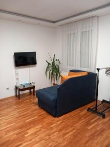Televízia a/alebo spoločenská miestnosť v ubytovaní Apartmani Pause