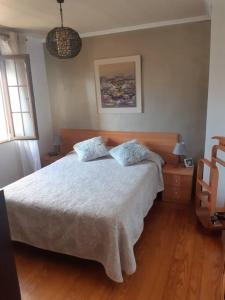 um quarto com uma cama com duas almofadas em Casa Pasiega em Renedo de Piélagos