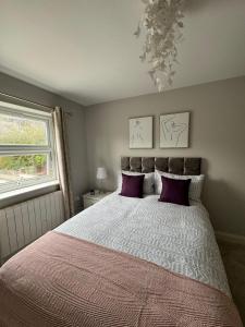 a bedroom with a large bed with purple pillows at Brentford Guest Rooms in Brentford