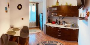 a kitchen with a sink and a counter top at Noua Apart in Petroşani
