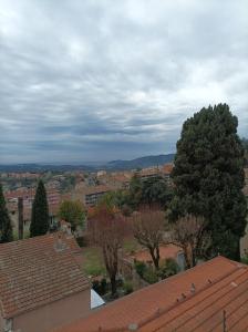 Un paisaje natural cerca del departamento