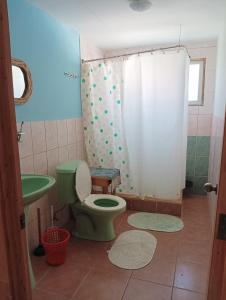 een badkamer met een groen toilet en een wastafel bij Don Fernando in El Quisco