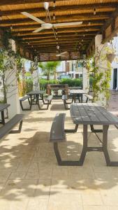 - un groupe de tables de pique-nique assises sous un pavillon dans l'établissement Casa Mazatlán, alberca, baño y clima en cada habitacion, à Mazatlán