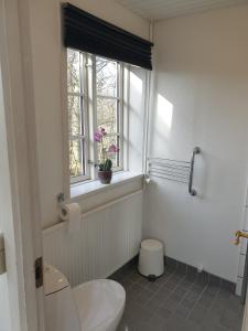 a bathroom with a toilet and a window at Stokrosen in Åkirkeby