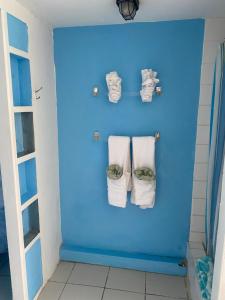 Baño azul con toallas colgadas en la pared en Blue Bamboo cottage Marigot Bay. en Marigot Bay