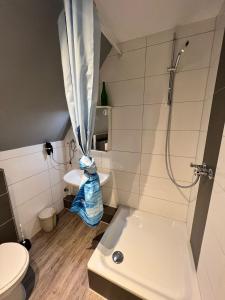 een kleine badkamer met een douche en een toilet bij Flensburg Zentrum 69 03 in Flensburg