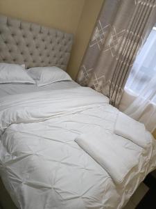 ein weißes Bett in einem Zimmer mit Fenster in der Unterkunft D.S Apartment in Kakamega