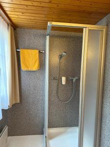 eine Dusche mit Glastür im Bad in der Unterkunft Jägerheim in Ausserbinn
