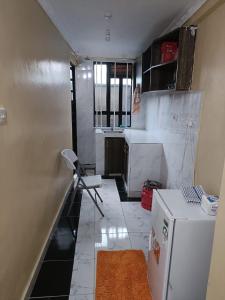 eine kleine Küche mit einem weißen Kühlschrank und einem Fenster in der Unterkunft D.S Apartment in Kakamega