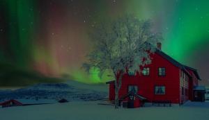 una casa roja con un árbol delante de la aurora en Rondane Haukliseter Fjellhotell, en Høvringen