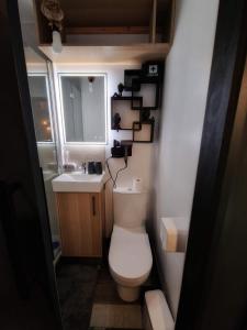 La petite salle de bains est pourvue de toilettes et d'un lavabo. dans l'établissement The Pub - Unique & Authentic Experience - Free Parking!, 5 minutes from Airbus, à Bristol