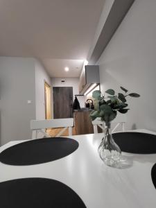 Fotografie z fotogalerie ubytování ApartHotel10 v destinaci Kladská Bystřice