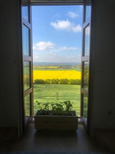 a window with a view of a yellow rapeseed field at Roslövs gård B&B in Flyinge