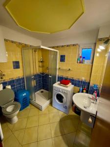La salle de bains est pourvue d'une douche, de toilettes et d'un lave-linge. dans l'établissement Dvoupodlažní zděná chata, à Tábor