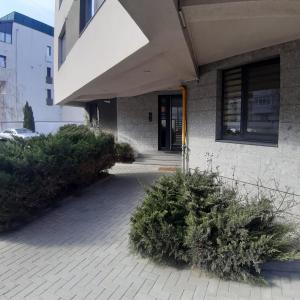 un bâtiment avec quelques plantes devant lui dans l'établissement Casa Sara, à Bucarest