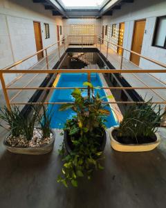 una piscina cubierta en un edificio con plantas en Sealion Dive Center, en Topolobampo