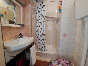 W łazience znajduje się umywalka i prysznic. w obiekcie Apartman Darija w mieście Pazin