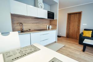 Kuchyňa alebo kuchynka v ubytovaní Apartament 19 Szklarska Poręba