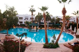 une grande piscine bordée de palmiers et de chaises dans l'établissement Delta Sharm, between Old Market& Naama Bay, center, à Charm el-Cheikh