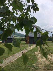 a barn seen through the leaves of a tree at Chutor Grzegorza in Wysowa-Zdrój