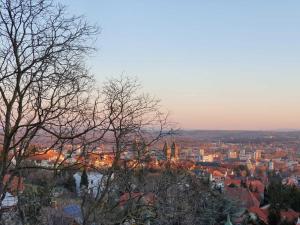 - Vistas a la ciudad desde una colina con árboles en Bárány Apartman en Pécs