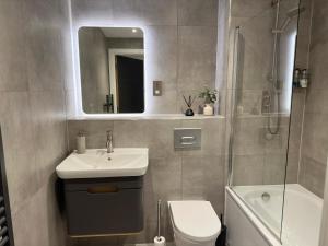a bathroom with a sink and a toilet and a shower at York Minster Apartment in York