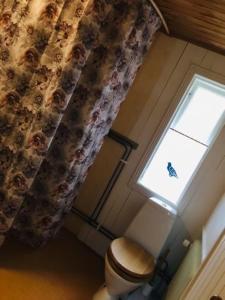 baño con aseo y ventana en Isans stuga, en Broby