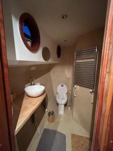 a small bathroom with a sink and a toilet at LOFT SUR L'EAU AVEC BALNEO in Cergy