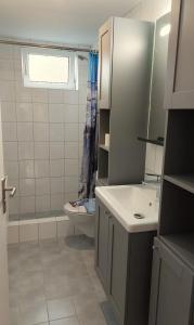uma casa de banho com um lavatório, um WC e um chuveiro em Vakantiehuis Ruby em Bruinisse