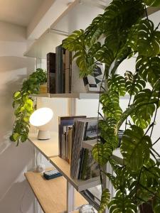 una estantería con libros y una planta en CASA BIA, en Bérgamo