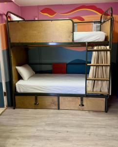 two bunk beds in a room with a wall at RAD Hostel in Colorado Springs
