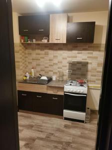 cocina con fogones y fregadero en Apartament sat vacanța Mamaia-Constanta en Constanza