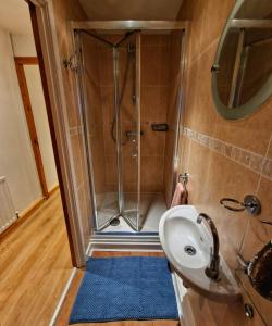 uma casa de banho com um chuveiro e um lavatório. em the lodge@ beechwood house em Mossley
