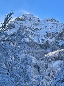 ein schneebedeckter Berg mit Bäumen davor in der Unterkunft Ferienwohnung Kirchbrücke in Mieders