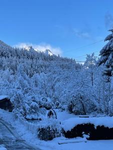 einen schneebedeckten Hof mit Bäumen und einem Berg in der Unterkunft Ferienwohnung Kirchbrücke in Mieders
