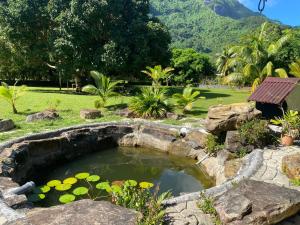 a pool of water with lilies in a garden at Hiti Lodge in Fare