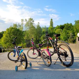a group of three bikes parked next to each other at Hanul Doctorului Badeni-Runcu Vila 2 in Fieni