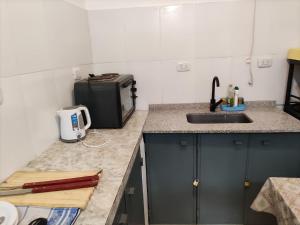 eine Küchentheke mit einer Spüle und einer Mikrowelle in der Unterkunft La Posada del Norte in La Rioja
