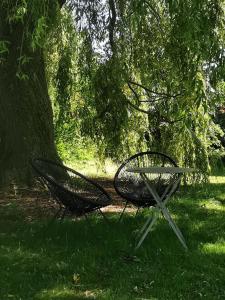 Zahrada ubytování B&B Lili's Tuin