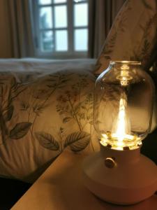 une lampe sur une table à côté d'un canapé dans l'établissement B&B Lili's Tuin, à Horebeke