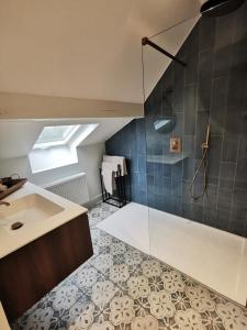 een badkamer met een douche en een wastafel bij B&B Lili's Tuin in Horebeke