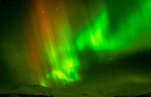 Fotografie z fotogalerie ubytování Rondane Haukliseter Fjellhotell v destinaci Høvringen