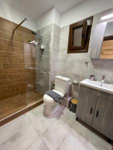 a bathroom with a toilet and a shower and a sink at Boutique at Historic Centrum-with free parking in Ioannina