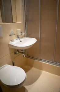 ein Bad mit einem WC, einem Waschbecken und einer Dusche in der Unterkunft Gasthof Schaber in Pettnau