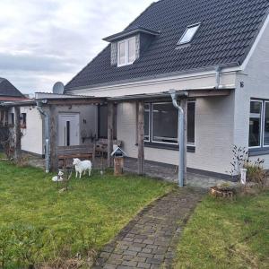 a house with two sheep standing outside of it at Deichperle - an der Eider in Tönning
