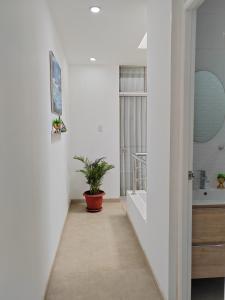 Fotografie z fotogalerie ubytování La Terraza Suite Chicama v destinaci Puerto Chicama + 100 fotografií