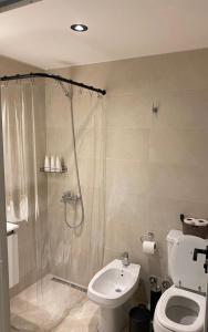 a bathroom with a shower and a toilet and a sink at DUO Espectacular Monoamb, Belgrano in Buenos Aires